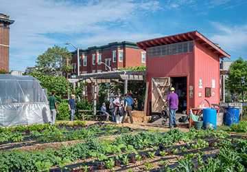 How to Start a Sustainable Urban Garden