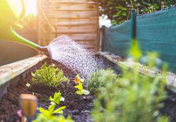 A Practical Guide to Urban Farming