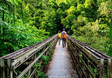 The Top 7 National Parks in Hawaii for Tropical Getaways