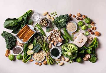 Top 10 Protein Sources for a Plant-Based Diet