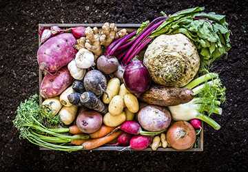 Top 10 Root Vegetables You’ve Probably Never Tried